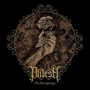 Phlesh – The Decomposing Review