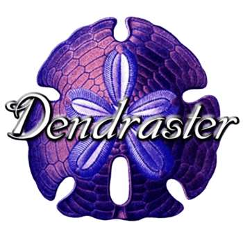 Dendraster - Fall Apart Review